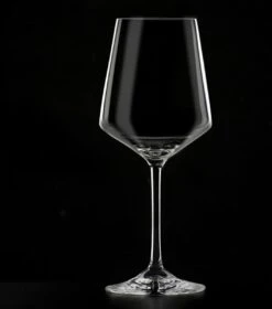 Masterpro Witte Wijnglazen 390ml - Onbreekbaar-Kristalhelder Glas - 2 Stuks -Keukenbenodigdheden 1059x1200