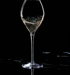 Lehmann Jamesse Champagneglazen 28.5cl -Keukenbenodigdheden 1127x1200 5