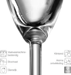 Leonardo Daily Champagneglas - 180 Ml - 6 Stuks -Keukenbenodigdheden 1144x1200 8