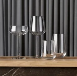Iittala Essence - Wijnglazen Rode Wijn – Vaatwasserbestendig - Transparant - 45 Cl – Set Van 4 Glazen -Keukenbenodigdheden 1200x1196 26