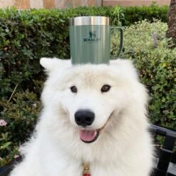 Stanley The Legendary Camp Mug 0,35L - Beker - Hammertone Green -Keukenbenodigdheden 1200x1199 1