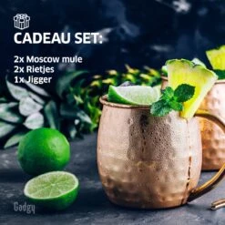 Gadgy Moscow Mule Bekers Set - 100% Koper - Cocktailset : 2 Cocktailglazen, 2 Rietjes & 1 Barmaatje -Keukenbenodigdheden 1200x1200 1733