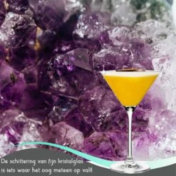 TEN Kristallen Espresso Martini Glazen 6 Stuks - Espresso Glazen 240ml + 40 Cocktail Recepten 13 TEN Kristallen Espresso Martini Glazen 6 Stuks - Espresso Glazen 240ml + 40 Cocktail Recepten -Keukenbenodigdheden 1200x1200 1762