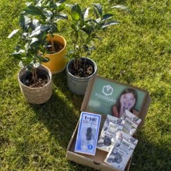 T-Sac Theefilters No.1 -Keukenbenodigdheden 1200x1200 2060