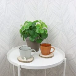 OTIX Koffiekopjes - Met Oor - Set Van 4 - Verschillende Kleuren - Aardewerk - 250 Ml 13 OTIX Koffiekopjes - Met Oor - Set Van 4 - Verschillende Kleuren - Aardewerk - 250 Ml -Keukenbenodigdheden 1200x1200 299