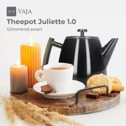 Vaja® Theepot Juliette Met Filter - Dubbelwandig -Theekan 1.0L - Glimmend Zwart -Keukenbenodigdheden 1200x1200 377