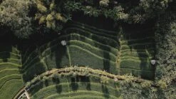 Sola Bestekset Bali - Modern - 9 Persoons - 90 Delig - Zilverwit Edelstaal 18/10 - RVS - Zilver -Keukenbenodigdheden 1200x675 12