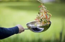 Demeyere Senses 5 RVS Wokpan - Inductie - 30 Cm – PTFE En PFAS Vrij 11 Demeyere Senses 5 RVS Wokpan - Inductie - 30 Cm – PTFE En PFAS Vrij -Keukenbenodigdheden 1200x786 6