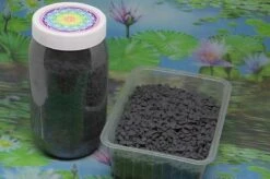 1000g Shungiet Shungite Stenen Voor Water En Ontstoring