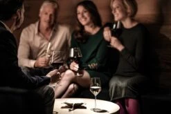 Schott Zwiesel Pure Cabernet Wijnglas - 0,54 L - 6 Stuks 15 Schott Zwiesel Pure Cabernet Wijnglas - 0,54 L - 6 Stuks -Keukenbenodigdheden 1200x800 252