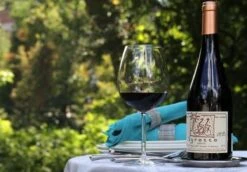 Schott Zwiesel Diva Bourgogne Wijnglas - 0,46 L - 6 Stuks -Keukenbenodigdheden 1200x837 3