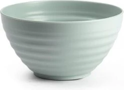 Plasticforte Kommetjes/schaaltjes - Dessert/ontbijt - Kunststof - D15 X 8 Cm - Mintgroen