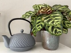 Bredemeijer Theepot Fujian 1.2L Met Filter Warm Grijs -Keukenbenodigdheden 1200x899 11