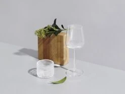 Iittala Essence - Wijnglazen Witte Wijn – Vaatwasserbestendig - Transparant - 33 Cl – Set Van 2 Glazen 13 Iittala Essence - Wijnglazen Witte Wijn – Vaatwasserbestendig - Transparant - 33 Cl – Set Van 2 Glazen -Keukenbenodigdheden 1200x899 38
