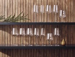 Iittala Essence - Wijnglazen Rode Wijn – Vaatwasserbestendig - Transparant - 45 Cl – Set Van 2 Glazen -Keukenbenodigdheden 1200x920 5