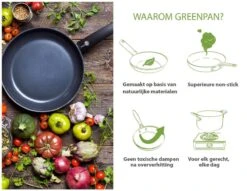 GreenPan Cambridge Grillpan 28cm - Zwart - Inductie - PFAS-vrij 27 GreenPan Cambridge Grillpan 28cm - Zwart - Inductie - PFAS-vrij -Keukenbenodigdheden 1200x926 6