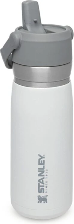 Stanley The IceFlow™ Flip Straw Water Bottle 0,65L - Thermosfles - Lagoon 19 Stanley The IceFlow™ Flip Straw Water Bottle 0,65L - Thermosfles - Lagoon -Keukenbenodigdheden 396x1200