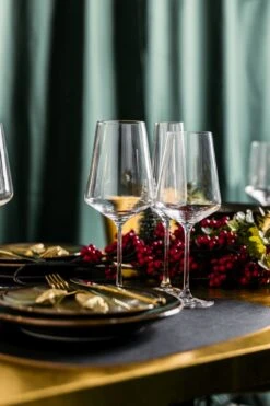 Leonardo Wijnglazenset (Rode Wijnglazen + Witte Wijnglazen) Puccini 12-Delig -Keukenbenodigdheden 800x1200 68