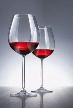 Schott Zwiesel Diva Bourgogne Wijnglas - 0,46 L - 6 Stuks -Keukenbenodigdheden 810x1200 2