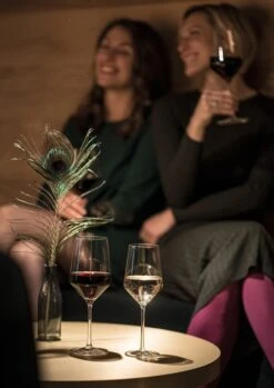 Schott Zwiesel Pure Riesling Wijnglas - 300 Ml - 6 Stuks -Keukenbenodigdheden 850x1200 3