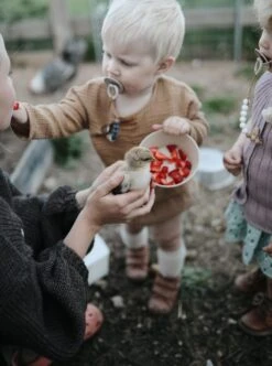 Siliconen Kommen - Mushie - Vanille - Set 2 -Keukenbenodigdheden 894x1200 2